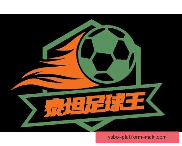 世界杯竞猜正规平台推荐助你轻松预测赛事结果赢取丰厚奖励